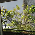 Appartement Sevres-Babylone Paris 6Eme, Rive Gauche